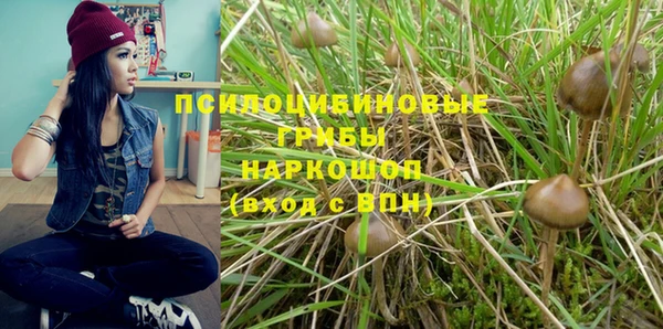 ALPHA PVP Алексин