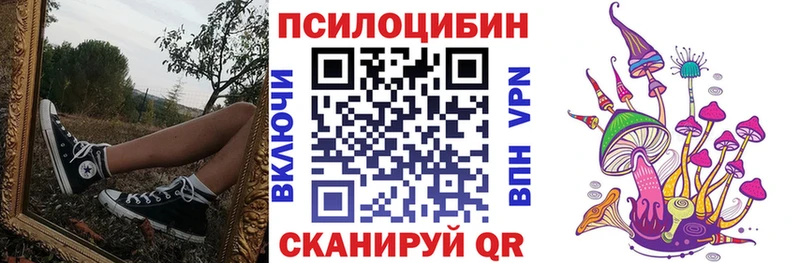 что такое наркотик  Петровск  сайты даркнета какой сайт  Псилоцибиновые грибы Psilocybe 